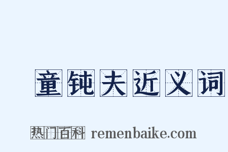 騃童钝夫近义词是什么意思的图片